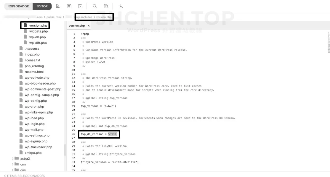 wordpress数据库版本$wp_db_version